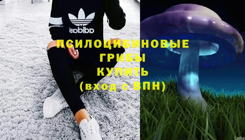 Псилоцибиновые грибы Magic Shrooms  KRAKEN ссылка  Кирс 